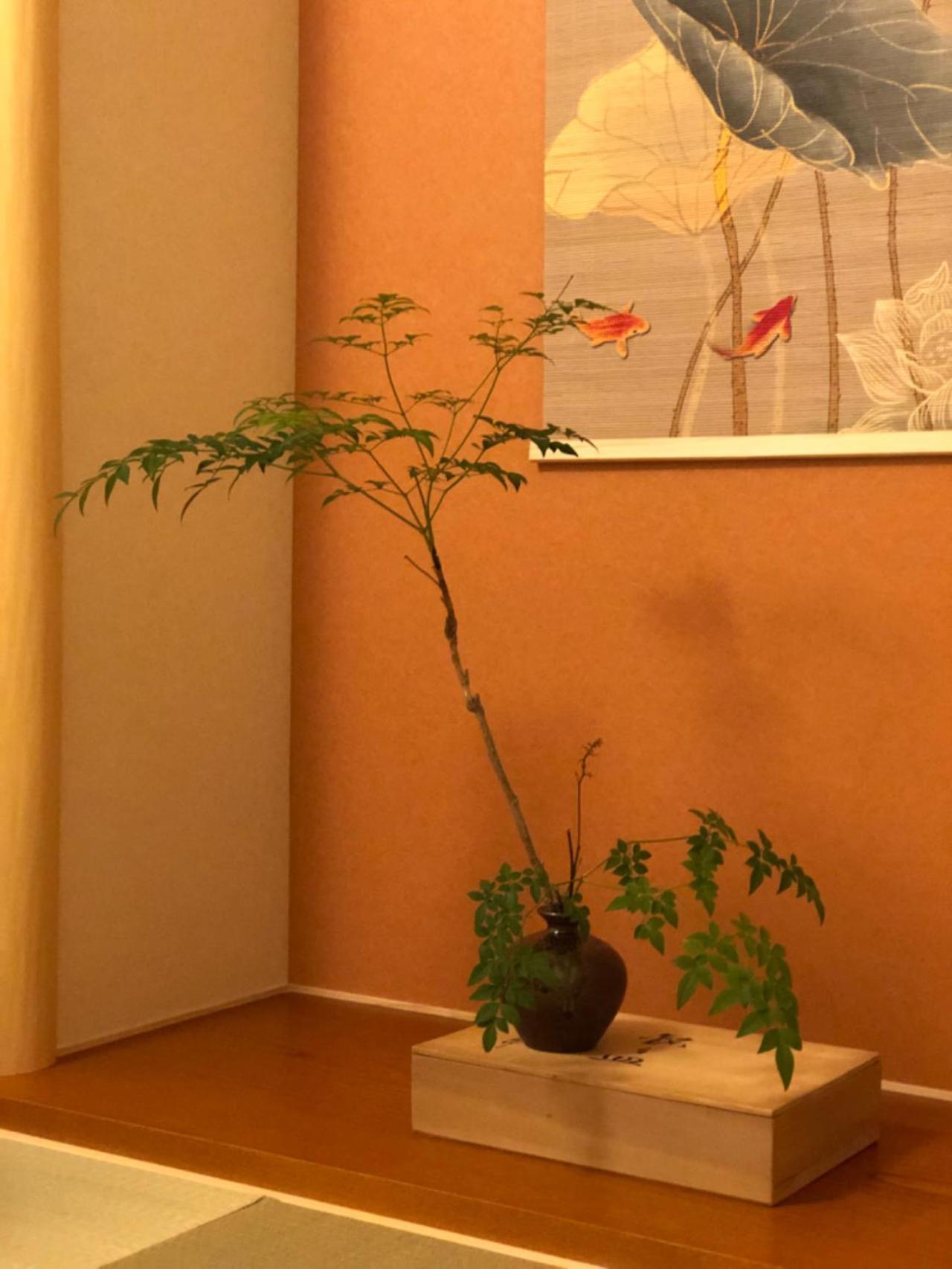 静雅の宿 Kyoto Eksteriør billede
