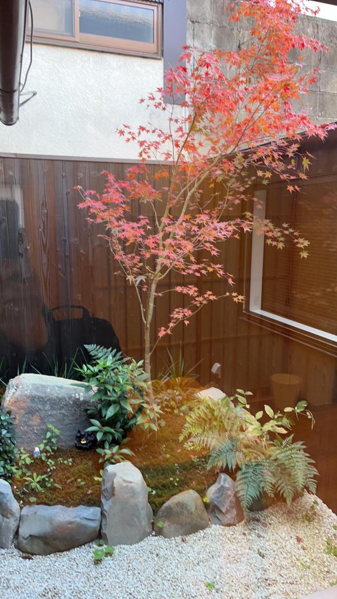 静雅の宿 Kyoto Eksteriør billede
